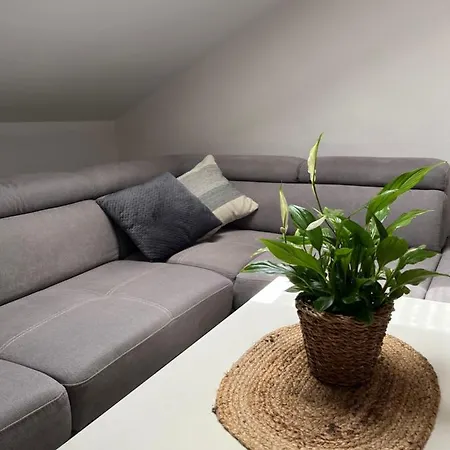 Seaside House Dragica *