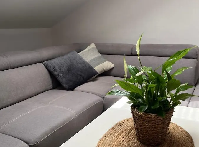 Seaside House Dragica *